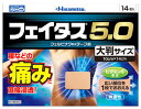 【第2類医薬品】久光製薬 フェイタス5.0 大判サ