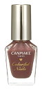 井田ラボラトリーズ キャンメイク カラフルネイルズ N15 チョコレートシロップ (8mL) ネイルカラー CANMAKE