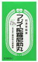 【第3類医薬品】藤井利三郎薬房 フジイ陀羅尼助丸