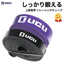 トレーニングチューブ フィットネス エクササイズ ストレッチ 筋トレ チューブ ゴム バンド 「 2色セット(ブラック+パープル)」 LICLI リクライ