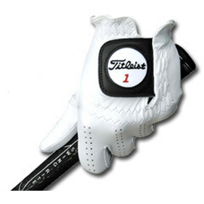 タイトリスト　プロフェッショナル　（TG77）　ゴルフ手袋　（右手用）