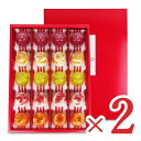 【12月1日は食フェス!限定クーポン配布中!】《送料無料》Hitotoe ピッコロドルチェ 20号 × 2箱 詰め合わせ ギフト 中島大祥堂