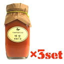 《あす楽対応》 明宝 トマトケチャップ 300g 3個セット 【明宝レディース 手作り 国内産 フレッシュ】