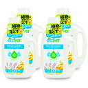 《送料無料》エコベール ecover ランドリーリキッド濃縮タイプ875ml × 4個