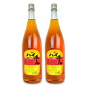 神田食品研究所 ハイボール 瓶 1800ml × 2本《あす楽》