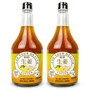 【マラソン限定!!最大2000円OFFクーポン配布中】《送料無料》ジャフマック 醗酵生姜 565ml × 2本