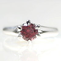 yzzCgS[h[hCgK[lbgy_g