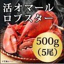 ◆活オマールロブスター(500gx5尾)...