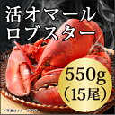 【メープルシロップ4本 プレゼント】◆活オマールロブスター(550gx15尾)お買い得/カナダ直輸入/活/オマール 海老/ロブスター/還暦祝い/肉厚/記念日/スープ/ビスク/新鮮/入学 お祝い/お中元/バーベキュー/BBQ/母の日/父の日