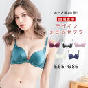 【同梱専用】※1回のご注文につき1点限り!必ず他の商品と一緒にカートに入れて下さい※2タイプから選べる!デザインおまかせ 訳ありワンコインブラ【ブラジャー単品】【グラマーサイズ】【メール便配送】【tu-hacci】