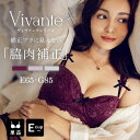 補正ブラに見えない脇肉撃退ブラ ~vivanteシリーズ~ アンティークレースブラ脇高ブラ ブラジャー 補正下着 かわいい レディース インナー 下着 単品 グラマーサイズ 大きいサイズ 【ブラジャー単品】【tu-hacci】