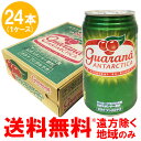 【送料無料※遠方除く】ガラナアンタルチカ(炭酸飲料)350ml×1ケース(24缶入り) アンタルチカ ガラナ
