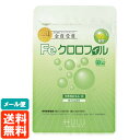 【送料無料・メール便】Feクロロフィル 280mg×30カプセル 栄養機能食品 消臭サプリメント 鉄クロロフィリンNa含有食品