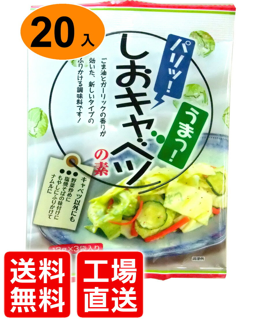 【送料無料】しおキャベツの素(キャベツ300〜400g×3袋)×20袋入 【あす楽対応】【粉末タイプ】【塩キャベツ】【塩キャベツのたれ】【ポイント10倍】塩キャベツの素を刻んだキャベツにかけて揉むだけでおいしい塩キャベツが作れます！バーベーキューやお出かけに！おかずのもう一品に【工場直送】【送料無料セット】