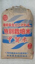 滋賀県甲賀産キヌヒカリ（減農薬）（近江米）25年産新米1等米30kg玄米