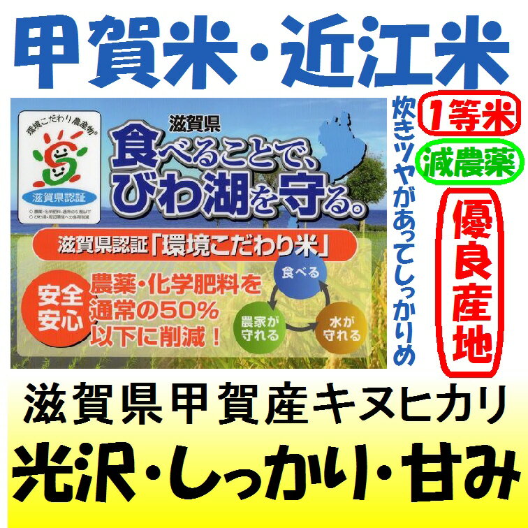 新米28年産滋賀県甲賀産キヌヒカリ（減農薬）（近江米）1等米　5kg ランキングお取り寄せ