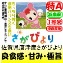 佐賀県唐津産さがびより(減農薬)29年産1等米・特A米30kg玄米