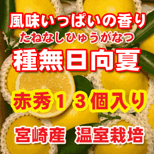 《大好評》【産地直送】『おすすめ』［産直宮崎県］プリンセス種無日向夏 赤秀13玉化粧箱入り。【楽ギフ_包装】【楽ギフ_のし宛書】　父の日・御中元・ギフト商品