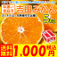 極早生（ごくわせ）吉田みかん5kg（家庭用・S〜Lサイズ込）期間・数量限定 2,500円⇒1,000円今年も甘くて味の濃い吉田みかんの季節になりました。