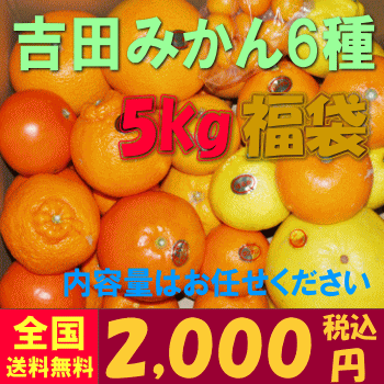 【特別ご招待】【柑橘カンキツ福袋2012】吉田みかん6種福袋----------はるか、土佐文旦ぶんたん、スウィートスプリング、ポンカン、伊予柑いよかん、レモン---福袋大特価！数量限定5kg 2,000円（税込）【全国どこでも送料無料】