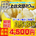 土佐文旦10kg　　　　　　　　　　　　　　　　　　　　　通常4,500円（税別）のところクーポン券のご利用で1,000円引き！今年の雑柑トップバッターは土佐文旦