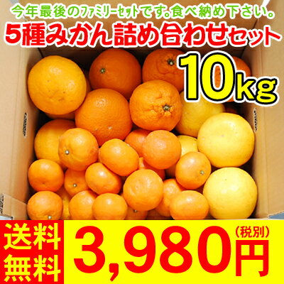 みかん詰め合わせセット10kg3,980円（税別）もちろん最終期のおみかんの詰め合わせです。お楽しみください。