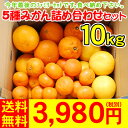 みかん詰め合わせセット10kg3,980円（税別）もちろん旬のおみかんの詰め合わせです。お楽しみください。