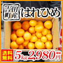 【送料無料】超希少!生まれたばかりの新品種!【はれひめ5】はれひめ5kg 2,980円(税別)【全国どこでも送料無料】