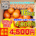 吉田町産16kg　　　　　　　　　　　　　　　　　　　　　通常4,500円（税別）のところ数量限定！山買い大特価！4,000円（税別）「香」・「味」・「コク」に「まろやかさ」が加わりました。