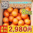 吉田町産8kg　　　　　　　　　　　　　　　　　　　　　2,980円（税別）「香」・「味」・「コク」に「まろやかさ」が加わりました。