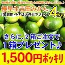 ★極早生吉田みかん4kg　　　　　　　　　　　　　　　　　　　　 1,500円ポッキリ（家庭用・サイズはお任せ下さい。）同一お届け先に限り、⇒2箱のご注文で1箱プレゼント！（4kg×3箱の合計12kgのお届けです。）