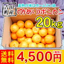 ワケありポンカン20kg　　　　　　　　　　　　　　　　　　　　　（ワケあり・S−Lサイズ込）4,500円（税別）追熟の味はホームラン級たっぷり派様、ポンカン好き様専用です。