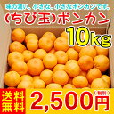 吉田町産10kg　　　　　　　　　　　　　　　　　　　　　とってもちっちゃいポンカンです。2,500円（税別）味の濃いちび玉が入荷しました。