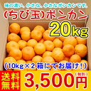 吉田町産20kg　　　　　　　　　　　　　　　　　　　　　とってもちっちゃいポンカンです。3,500円（税別）味の濃いちび玉が入荷しました。