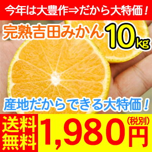 【y10t】（味濃い・ワケあり）早生吉田みかん10kg（サイズはお任せ下さい。）　　　　　　　　　　　　　　　1,980円（税別） 【全国どこでも送料無料】