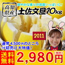 土佐文旦10kg　　　　　　　　　　　　　　　　　　　　　通常4,500円のところ⇒2,980円（税別）★初売り大セール★今年の雑柑トップバッターは土佐文旦