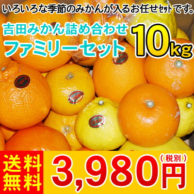 吉田みかん詰め合わせファミリーセット10kg　　　　　　　　　　　　　　　3,980円（税別）もちろんいろいろな季節みかんが入る、お任せセットです。
