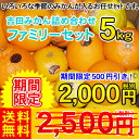 吉田みかん詰め合わせファミリーセット5kg　　　　　　　　　　　　　　　通常2,500円（税別）のところ⇒期間限定2,000円（税別）もちろんいろいろな季節みかんが入る、お任せセットです。今の季節は7〜8種類のみかんが入ります。