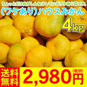 （ワケあり）ハウスみかん4kg　　　　　　　　　　　　　　　　2,980円（税別）とっても甘いですが、ちょっと皮がしんなりしているワケあり品ができてしまいました。どうか食べてやって下さい。