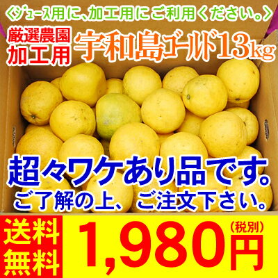 【加宇13】（加工用・サイズ込み）宇和島ゴールド13kg※見た目の凄く悪い皮がしわしわなものが入ります。ジュース、焼酎にどうぞ　　　　　　　　　　　　　　　　　　　　　【全国どこでも送料無料】美生柑【2sp_120706_a】