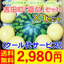 【lion1】吉田町【夏旬】セット　　　　　　　　　　　　　　　ちびスイカと宇和島ゴールドのWセット（チビすいか6〜7kg前後×1玉、 　　　　　　　 宇和島ゴールド×4〜8玉）1セット2,980円（税別）【全国どこでも送料無料】