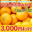 【4kg×3箱3000円ポッキリ】【甘くてジュースのような味の濃さです!】【y0403】(ワケあり・S〜Lサイズ込)吉田みかん4kg×3箱 3,000円ポッキリ