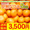 （ワケあり）完熟なつみ5kg　　　　　　　　　　　　　　　　　　　　　3,500円（税別）糖度は15度以上！味の濃さは越冬完熟級！春に食べられる冬みかん！