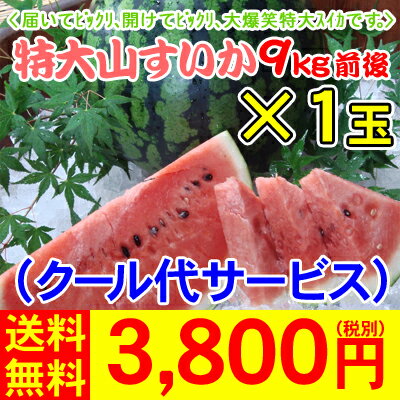 【s9-1】特大「山すいか」9kg前後入荷がある時のみの販売です。【全国どこでも送料無料】