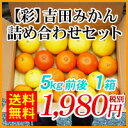 【送料無料】いろいろな季節みかんを食べ比べて下さい。【○1】【彩】吉田みかん詰め合わせセット 1箱5kg前後たっぷり詰め込んで1箱1,980円(税別)もちろん【全国どこでも送料無料】