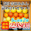 【送料無料】いろいろな季節みかんを食べ比べて下さい。【○2】【彩】吉田みかん詰め合わせセット 1箱5kg前後たっぷり詰め込んで2箱2,980円(税別)^^^^^^^^^^^^^^^^^^^^もちろん【全国どこでも送料無料】