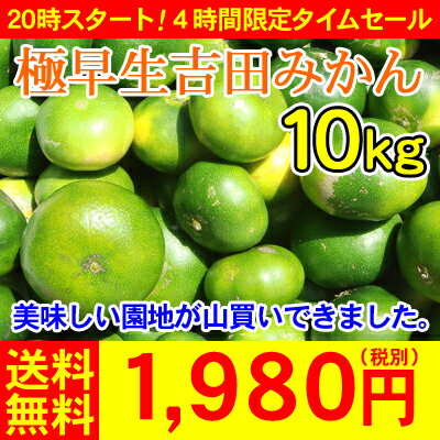 【y10t】（家庭用・S〜Lサイズ込）極早生吉田みかん10kg　　　　　　　　　　　　　　　1,980円（税別） 【全国どこでも送料無料】