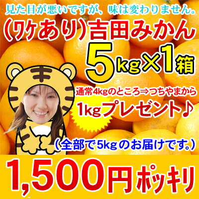 【y0501】（ワケあり・S〜Lサイズ込）【味濃厚】吉田みかん5kg×1箱　　　　　　　　　　　　　　　1,500円ポッキリさらに、同一お届け先に限り、3箱ご注文で1箱おまけ付