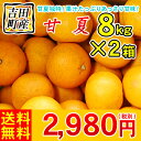 （ワケあり・サイズ込み）甘夏8kg×2箱kg　　　　　　　　　　　　　　　　　　　　2,980円（税別）/日本を元気に！果汁たっぷりあっさり甘味！
