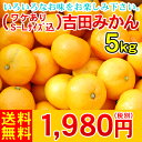 （ワケあり・S〜Lサイズ込）吉田みかん5kg　　　　　　　　　　　　　　　　　　　　1,980円（税別） 